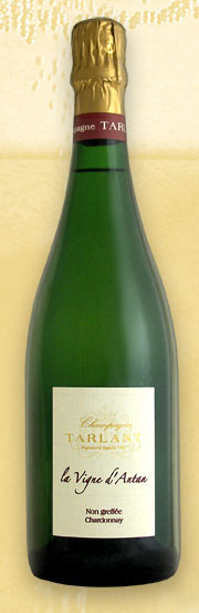Flasche Champagne Cuv&eacute;e La Vigne d'Antan