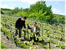 Jean-Mary & Beno&icirc;t Tarlant