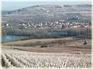 Champagne Tarlant Vineyard