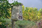 Champagne Tarlant Vineyard