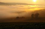 Marne Valley