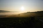 Marne Valley