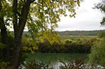 Champagne Tarlant Vineyard