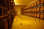Champagne Tarlant cellars