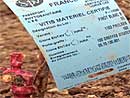 Von VITIS zertifizierter Pinot-Rebstock 